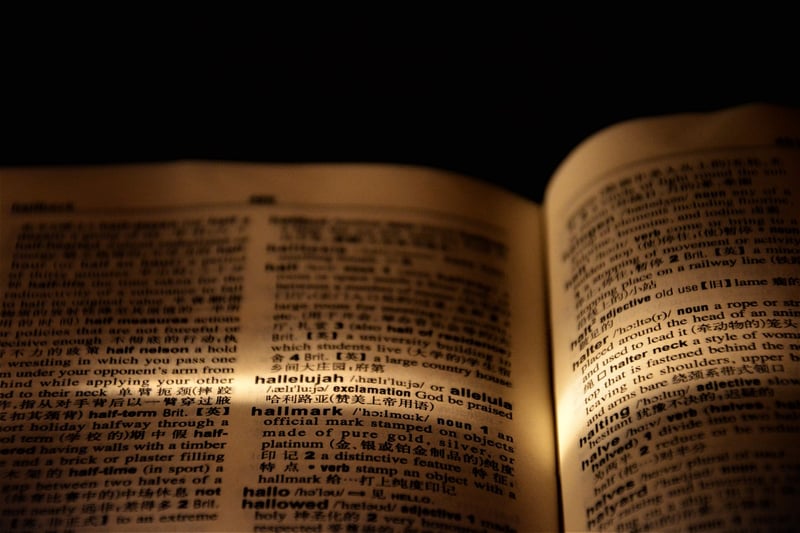 Language Learning