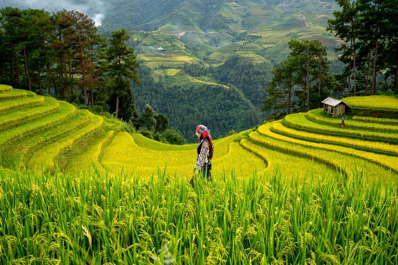 Fair Trade Fashion